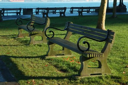 bench in park