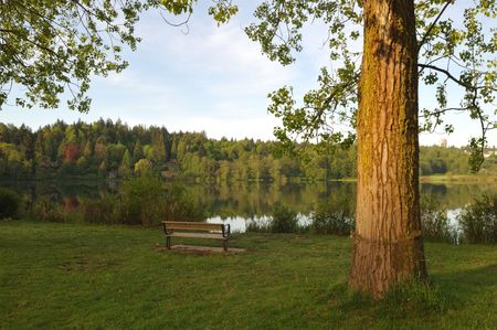 deer lake park, burnaby, bcの写真素材