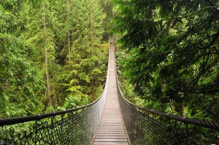 lynn valley suspension bridge, north vancouver