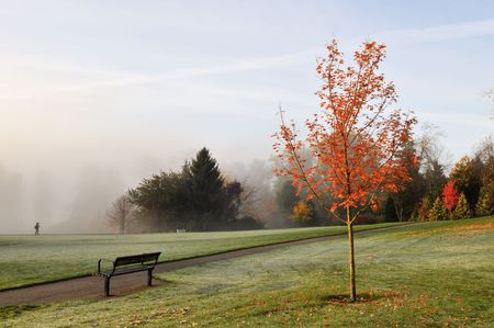 Foggy deer lake park in autumnの写真素材