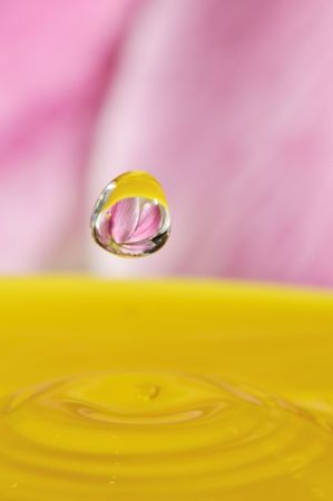 abstract water drop with lily flower inside