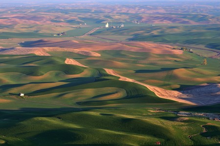 The rolling hills farmland in Palouse Washingtonの写真素材