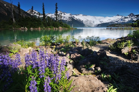 Garibaldi Provincial Park near whistler, British Columbiaの写真素材