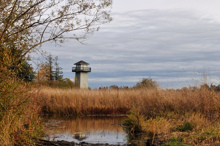 Tennant Lake Lookout Tower, Ferndale, Washingtonの写真素材