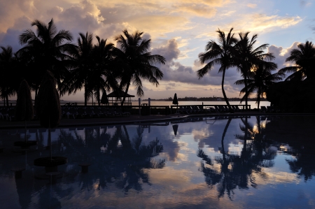 palm trees by beach at sunrise, Bahamasのeditorial素材