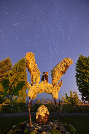 Eco-Sculpture soaring cranes and star trailsの写真素材