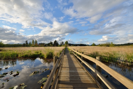 Hovander Homestead Park preserves the rich history of pioneer farming and offers recreational opportunities for all ages in every seasonの写真素材