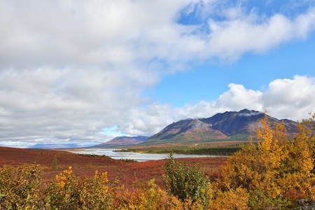 Beautiful Autumn Colors  on Denali Hwy, Alaskaの写真素材