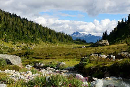Black Tusk Viewed From Brandywine Meadows (Coast Mountains, British Columbia, Canada)の写真素材