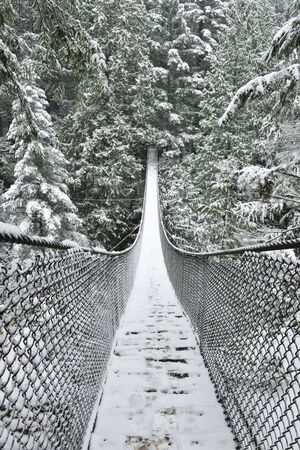Lynn Valley Park on snowy day, North Vancouver, BCの写真素材