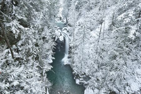 Lynn Valley Park on snowy day, North Vancouver, BCの写真素材