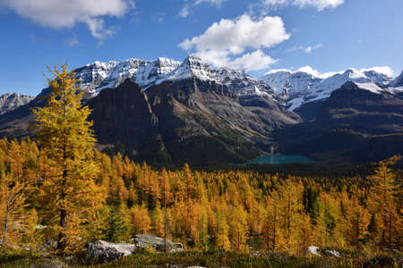 Odaray Grandview Trail, Lake O'hara, Yoho National Parkの写真素材