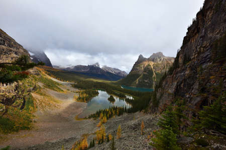 Opabin Plateau trail and Lake O'Hara, Yoho National Park, BCの写真素材