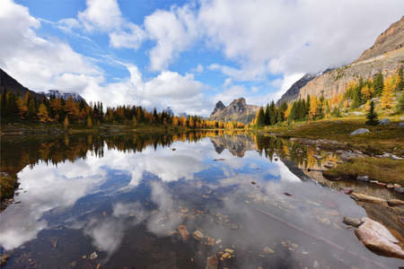 Opabin Plateau trail and Lake O'Hara, Yoho National Park, BCの写真素材