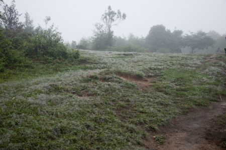 Pasture and water droplets of drizzle.の写真素材