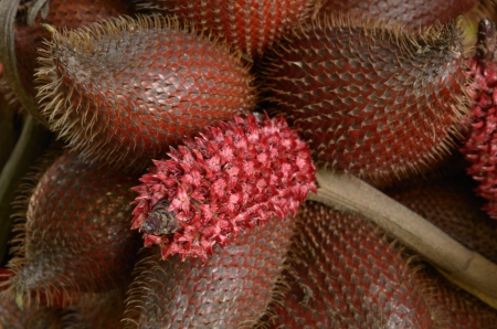 Sweet fruit flavors of Thailand ,pattalung Thailandの写真素材