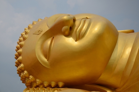 forcus Only Head の写真素材