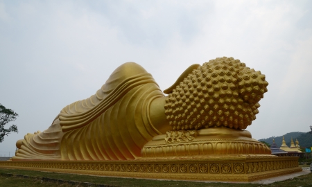 view from behindの写真素材