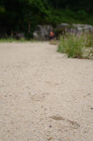 Footprints ,Track on sand,thailandの写真素材