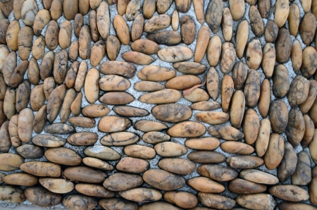 ston pattern walk way.Trang Thailandの写真素材