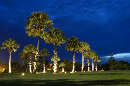 Silhouette palm trees at koh yao SongKhlaの写真素材