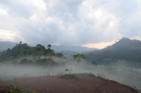 Mist of the  Krung Ching,330 m above sea level の写真素材