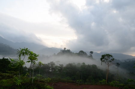 Mist of the  Krung Ching,330 m above sea level の写真素材