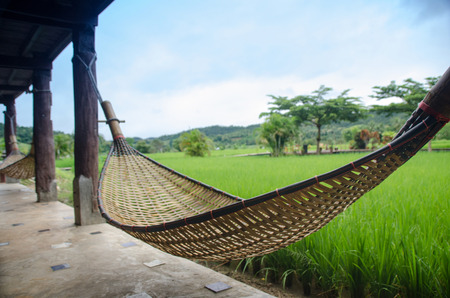 Bamboo hammock beside green rice field with yellow flare light in morning.Mae Hong Son.Thailandの写真素材
