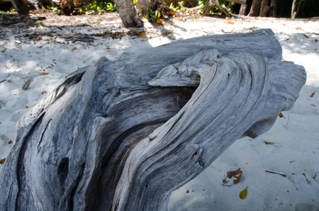 Tropical hardwood and textured background. Abstract background. Close up weathered wooden board and sand outdoors background. Natural texture. Old wood and sand texture. Untreated knotty wood.の写真素材