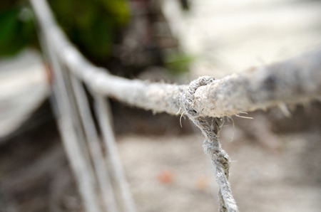 Close-up of rope knot line tied together with bridge background. White rope tied in a knot for adventure.Rope, tie a knot tied to a mesh of metal poles for children to climb.の写真素材
