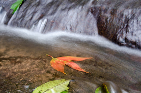 Sai Thaip waterfall with stone of green moss in rain forest ,  Phu Soi Dao National Park, Utaradit,...