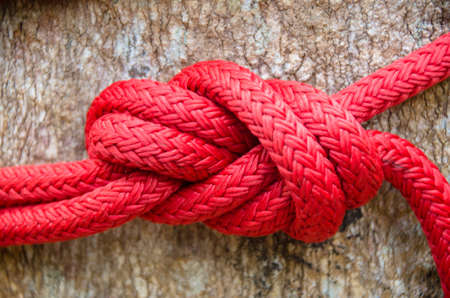 A rope around the trunk of a tree, a rope with a knot around the tree. Macro climbing on a red ropeの写真素材