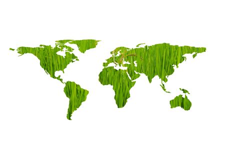 Ecology concept,eco world map made of green leavesの写真素材