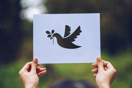 Show Cut paper with the  of pigeon template of peace concept,International Peace Dayの写真素材