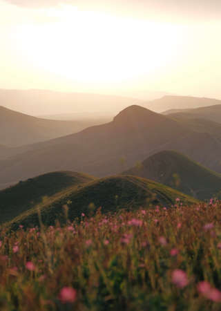 Green hills in the light of the sunset. Spring flowers in the foreground.の写真素材