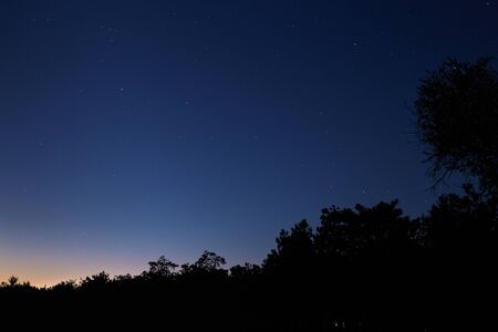 Dark blue night sky stars and trees on the horizon