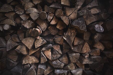 Dry firewood logs in a pile near the wall