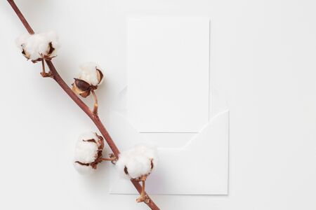 Layout of a postcard in the envelope and the cotton branchの写真素材