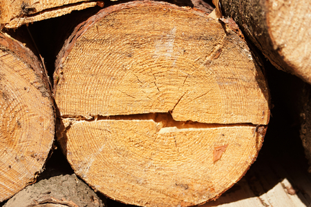 Slice the log with a horizontal crack.の写真素材