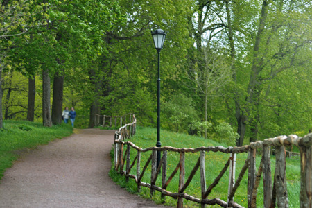 A fence made of untreated poles in the Park. Toned.