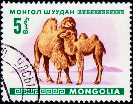 Saint Petersburg, Russia - February 06, 2020: Postage stamp issued in Mongolia with the image of Bactrian Camel, Camelus bactrianus. From the series on Young animals, circa 1968のeditorial素材