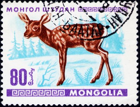 Saint Petersburg, Russia - February 06, 2020: Postage stamp issued in Mongolia with the image of Red Deer Calf, Cervus elaphus. From the series on Young animals, circa 1968のeditorial素材