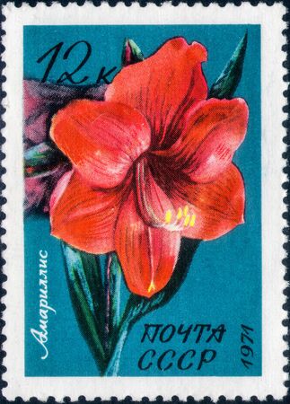 Saint Petersburg, Russia - February 17, 2020: Postage stamp issued in the Soviet Union with the image of the Amaryllis. From the series on Tropical Flowers, circa 1971のeditorial素材
