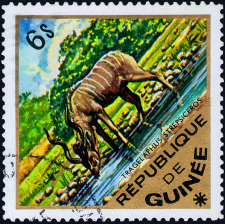 Saint Petersburg, Russia - March 06, 2020: Stamp issued in the Guinea with the image of the Greater kudu, Tragelaphus strepsiceros. From the series on African Wildlife, circa 1975のeditorial素材