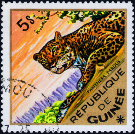 Saint Petersburg, Russia - March 06, 2020: Stamp issued in the Guinea with the image of the Leopard, Panthera pardus. From the series on African Wildlife, circa 1975のeditorial素材