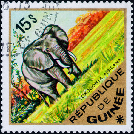 Saint Petersburg, Russia - March 06, 2020: Stamp issued in the Guinea with the image of the African Elephant, Loxodonta africana. From the series on African Wildlife, circa 1975のeditorial素材