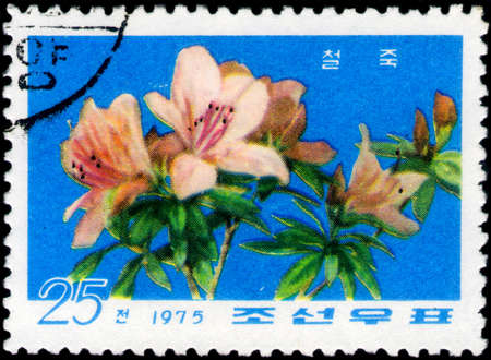 Saint Petersburg, Russia - March 06, 2020: Stamp issued in the Democratic People's Republic Of Korea with the image of the Rhododendron. From the series on Rhododendrons, circa 1975のeditorial素材