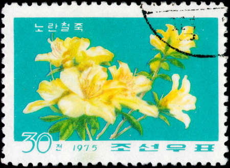 Saint Petersburg, Russia - March 06, 2020: Stamp issued in the Democratic People's Republic Of Korea with the image of the Yellow rhododendron. From the series on Rhododendrons, circa 1975のeditorial素材