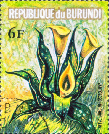 Saint Petersburg, Russia - March 15, 2020: Stamp issued in the Burundi with the image of the Calla, Zantedeschia tropicalis. From the series on Flowers and Butterflies, circa 1973のeditorial素材