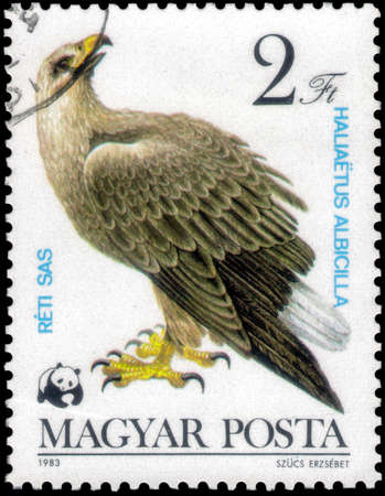 Saint Petersburg, Russia - May 17, 2020: Stamp printed in the Hungary with the image of the White-tailed Eagle, Haliaeetus albicilla, circa 1983のeditorial素材